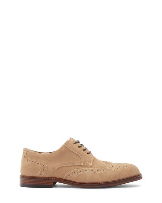 Steve Madden Brown Eferm Wingtip Derby for men