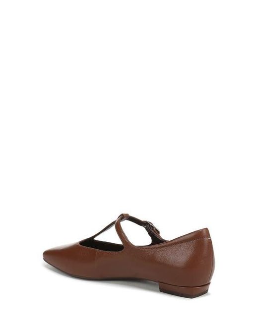 27 EDIT Naturalizer Brown Bella T-Strap Flat
