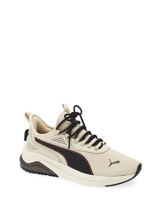 PUMA White Amplifier Knit Sneaker for men