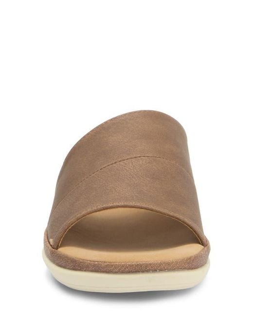 Taryn Rose Brown Asymmetrical Slide Sandal