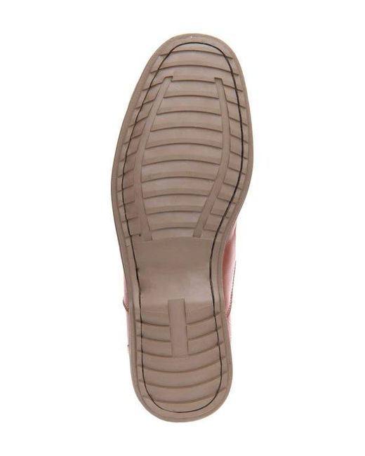 Sandro Moscoloni Brown Center Seam Slip-On Shoe for men
