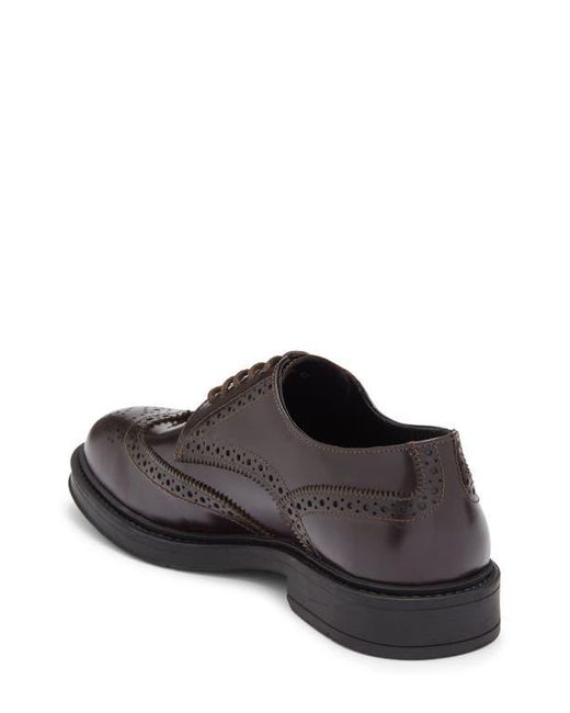 Roberto Cavalli Brown Crip Wingtip Derby for men
