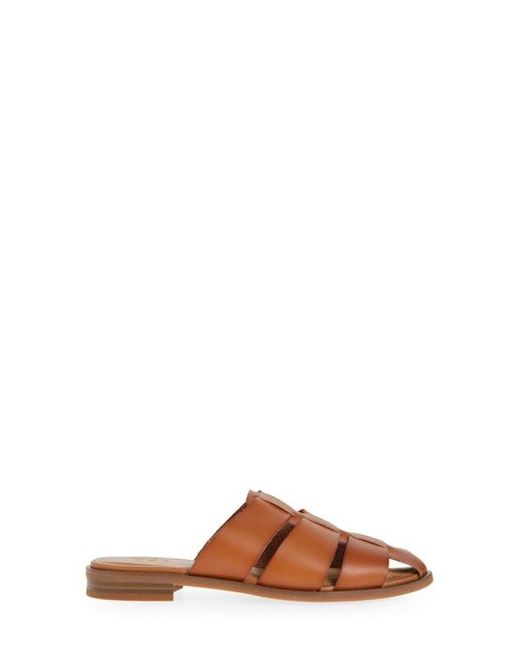 Nordstrom Rack Brown Kenzie Mule