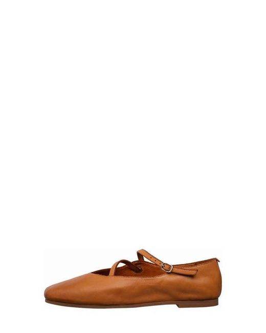 Antelope Brown Lorelei Ballet Flat