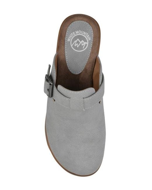 White Mountain Gray Viewed Mule