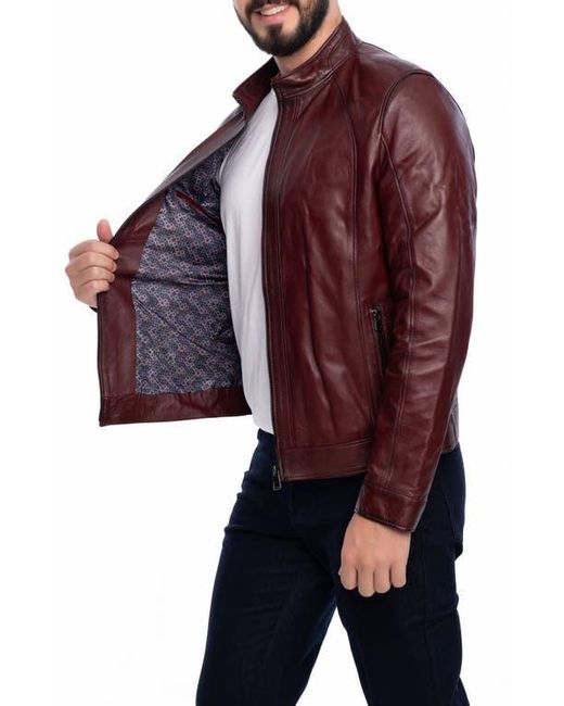 VELLAPAIS Purple Smooth Leather Jacket for men