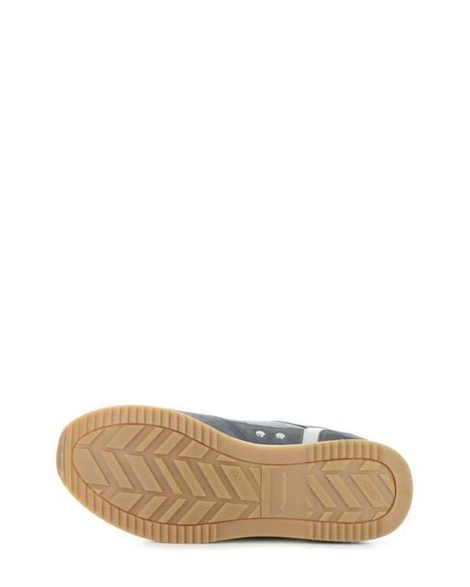 Ambitious Blue 13425B Low Top Sneaker for men
