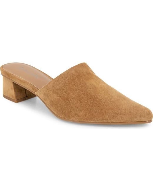 Splendid Brown Lyn Suede Mule Heel