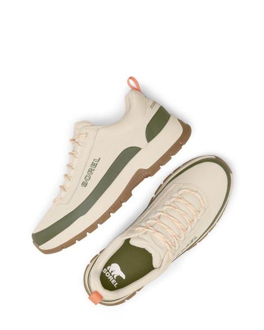 Sorel White Outing Nw Low Sneaker for men