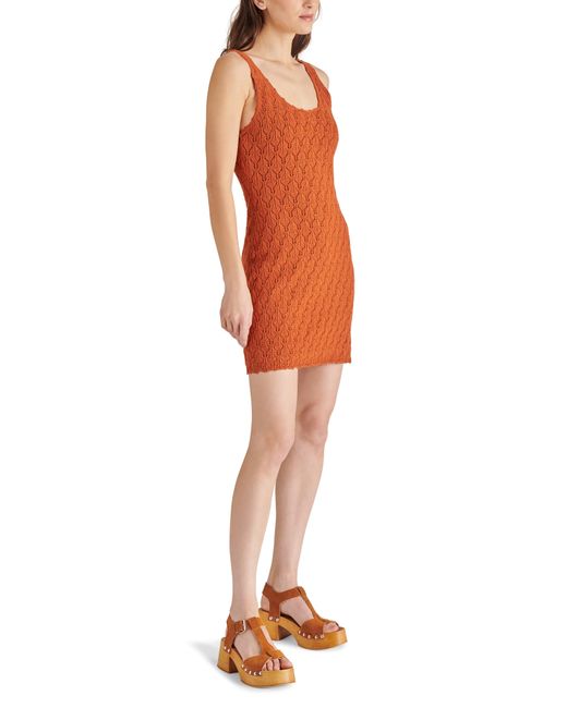Steve Madden Orange Malia Sleeveless Pointelle Sweater Minidress