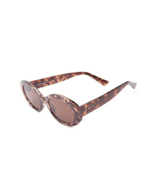 DIFF Brown Delaney 52Mm Oval Sunglasses for men