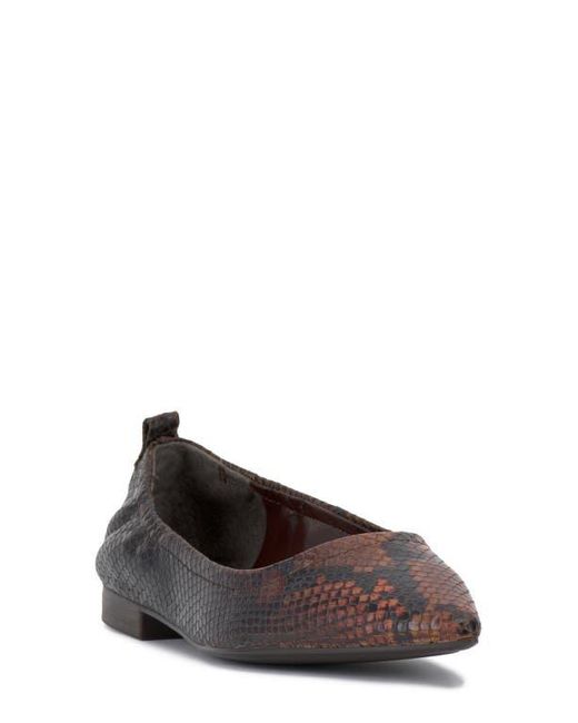 Vince Camuto Brown Ashleah Pointed Toe Flat