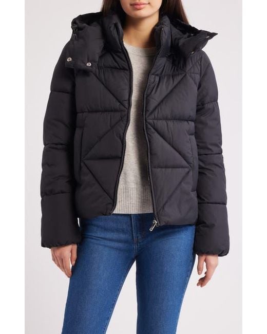 Sam Edelman Black Cropped Puffer Jacket