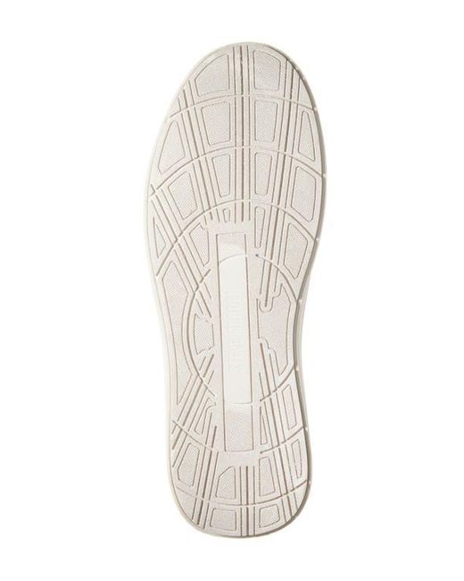 Steve Madden Gray Playto Sneaker for men