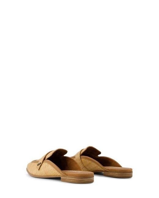 TOMS Brown Lynette Mule