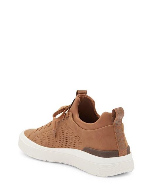 Steve Madden Brown Pyper Sneaker for men