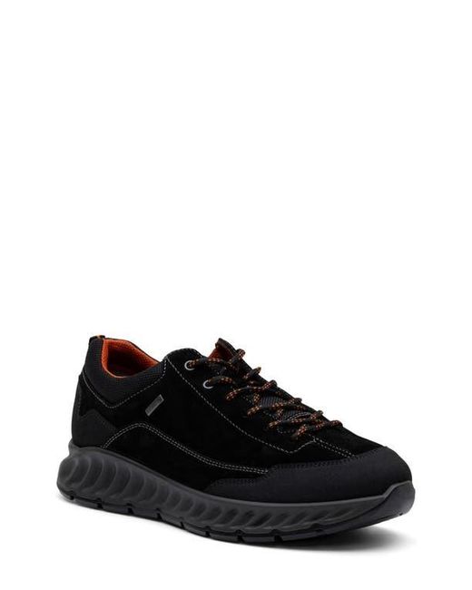 Ara Black Petro Waterproof Sneaker for men