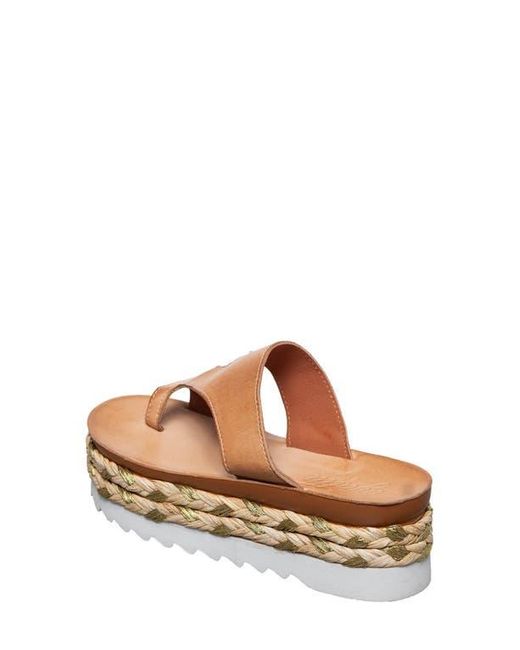 Antelope Brown Abra Platform Sandal