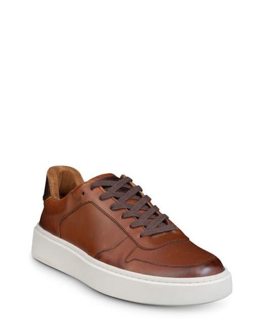 ★Allen Edmonds(Men)★Owen Venetian★Chili Leather Men's Allen Edmonds Owen Lace-up Sneaker | Zappos.com