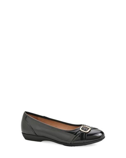 White Mountain Black Calming Buckle Strap Flat