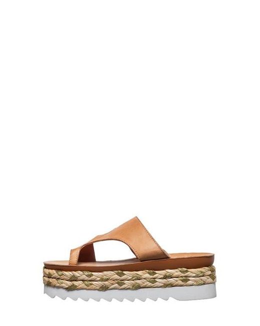 Antelope Brown Abra Platform Sandal
