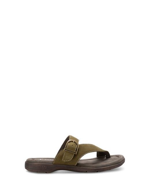Eastland Brown Tahiti Ii Slide Sandal