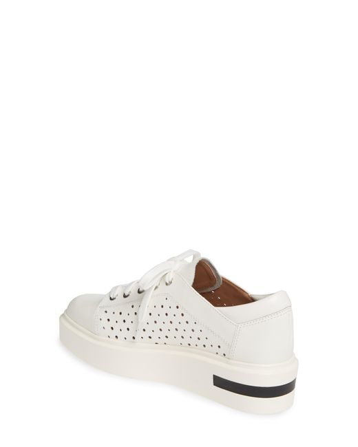 linea paolo platform sneaker