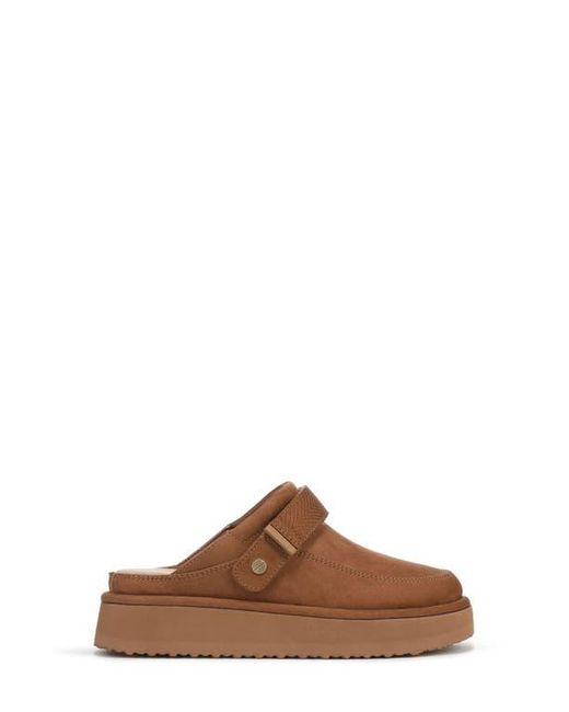 Dr. Scholls Brown Chill Time Clog