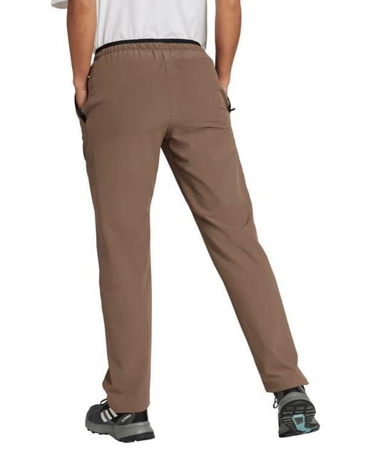 Adidas Gray Terrex Multi Liteflex Pants