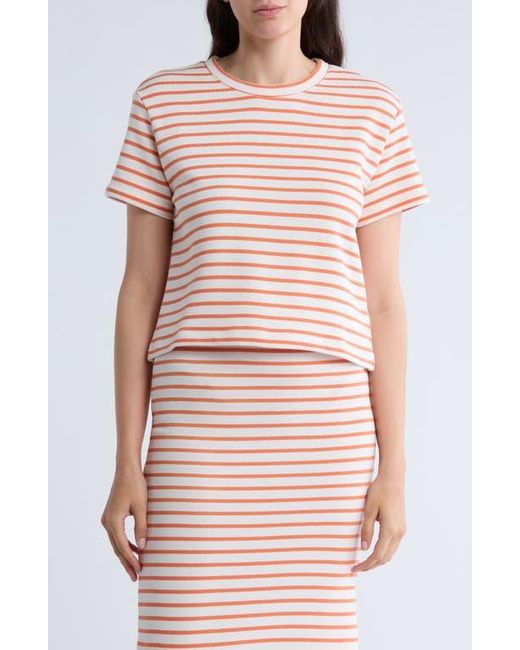 Splendid Pink Royale Boxy T-Shirt