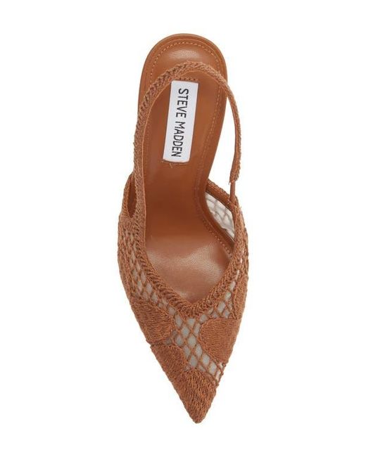 Steve Madden Brown Beverlie Pointed Toe Slingback Pump
