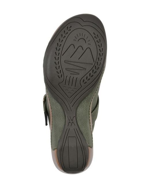 White Mountain Green Viewed Mule