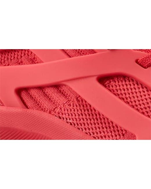 Hunter Red Tulip Sneaker