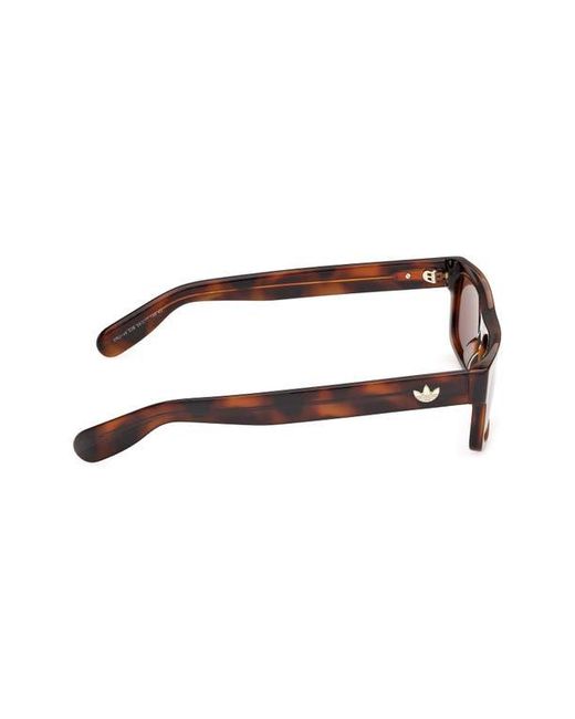 Adidas Brown Rectangular Sunglasses for men