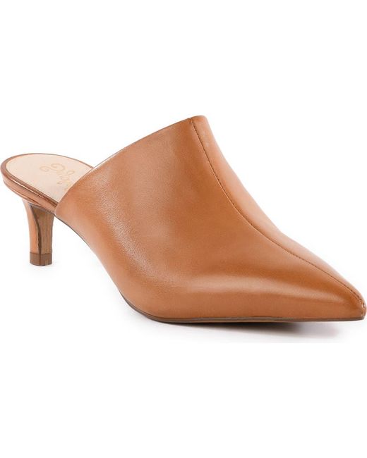 Seychelles Brown Stefani Pointed Toe Mule
