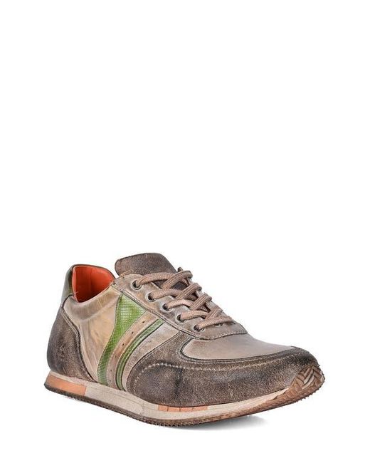 Roan Brown Alatar Sneaker for men