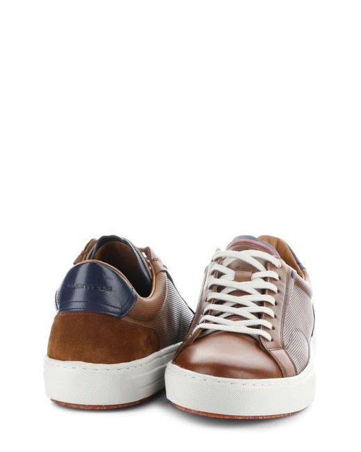 Ambitious Brown 11218 Low Top Sneaker for men