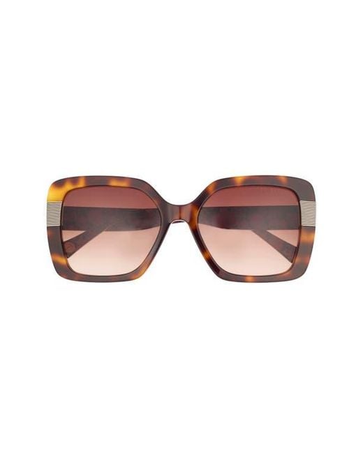 Ted Baker Brown 56Mm Gradient Square Sunglasses