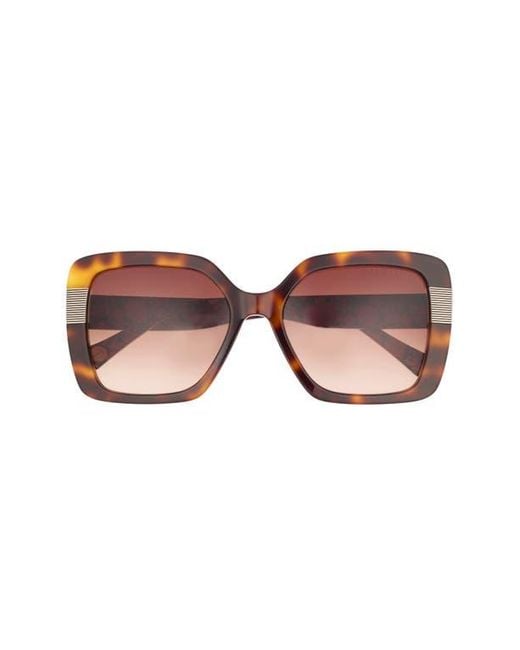 Ted Baker Brown 56Mm Gradient Square Sunglasses