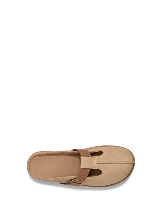 Ugg Natural Goldenstar Platform Clog