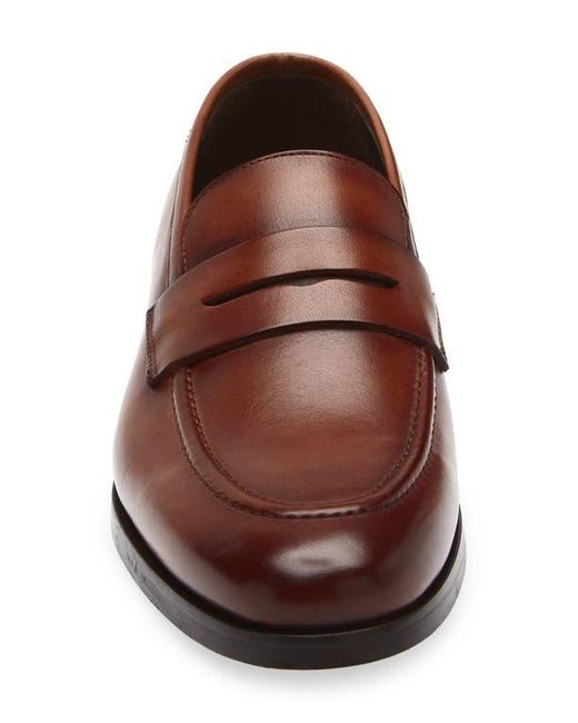 Bruno Magli Brown Nolan Penny Loafer for men