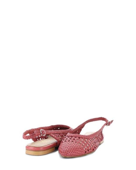 Bos. & Co. Red Willow Slingback Cap Toe Flat