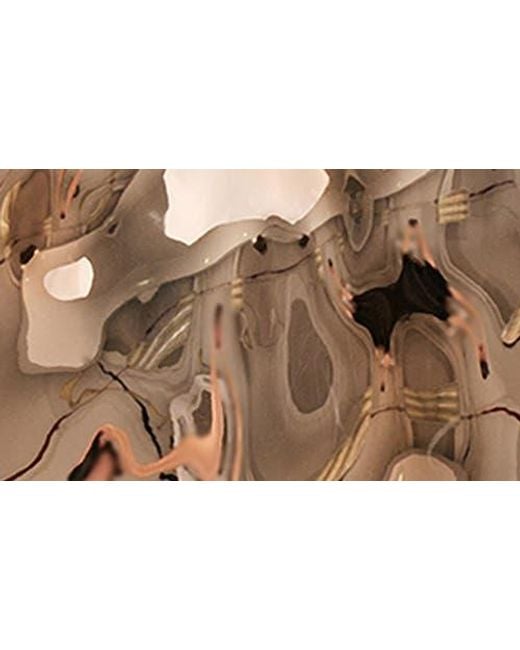 Auramma Brown Glossy Bubbles Iphone 16 Pro Case