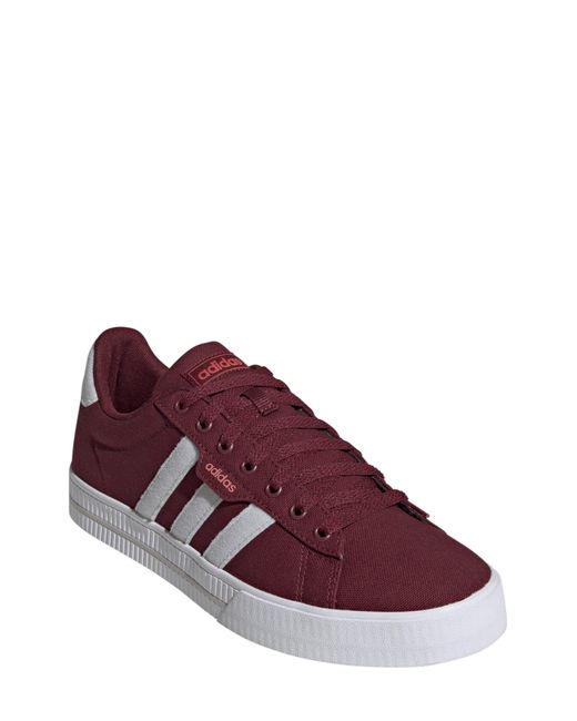 Adidas Purple Daily 3.0 Sneaker for men
