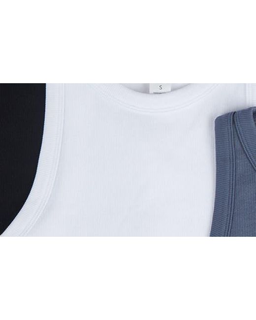 90 Degrees Blue 3-pack Seamless Ribbed Crop Tank Tops