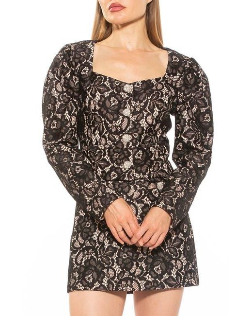 Alexia Admor Black Rowan Lace Jacket