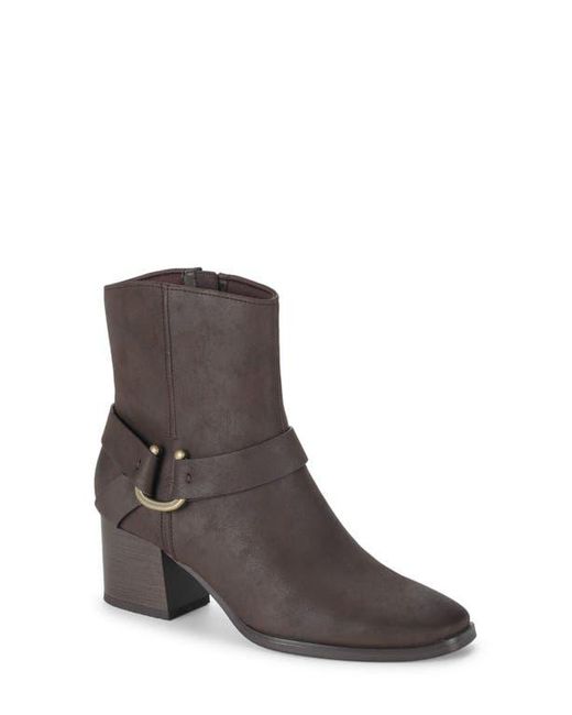BareTraps Brown Tiana Block Heel Bootie