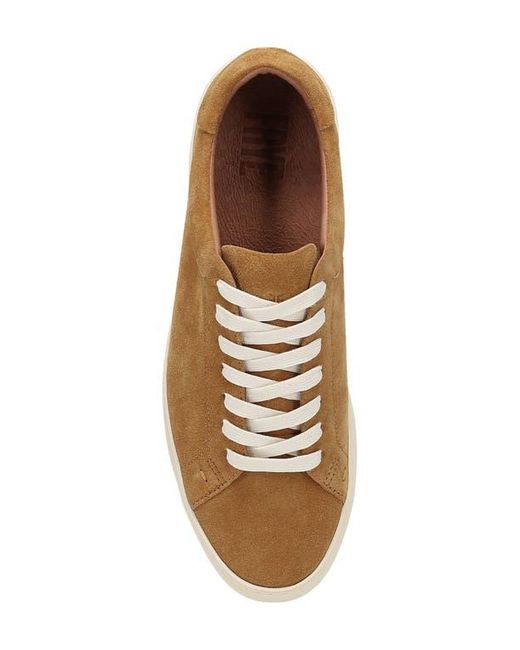 Frye Brown Astor Court Low Top Sneaker for men