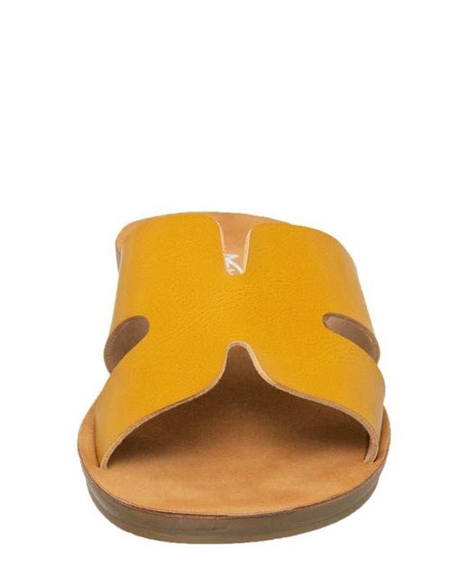Antelope Multicolor Bliss Corner Slide Sandal
