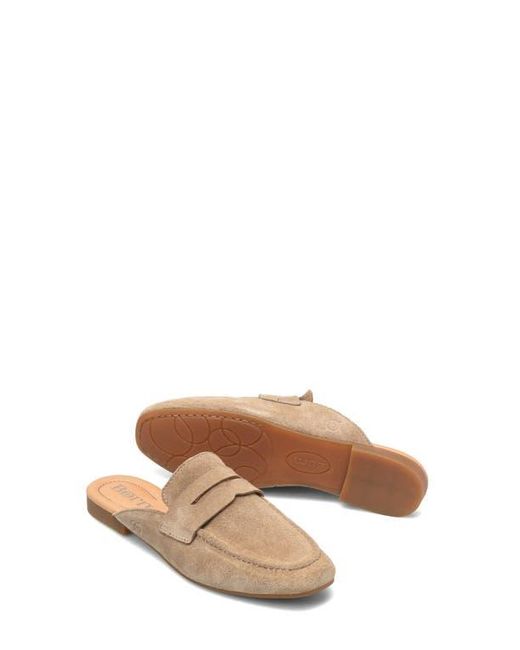 Børn Brown Ashlin Mule